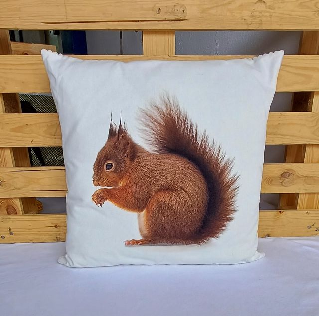 Baumwollkissen Eichhörnchen