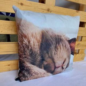 Süßes Hasenkissen Sleeping Rabbit