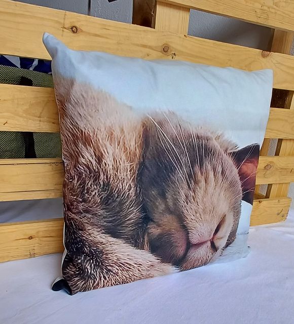 Süßes Hasenkissen Sleeping Rabbit