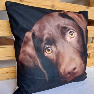 Fotodruck-Kissen Labrador