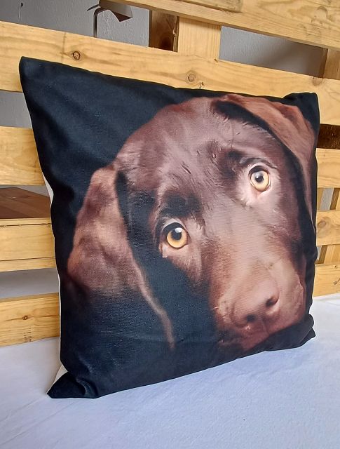 Fotodruck-Kissen Labrador